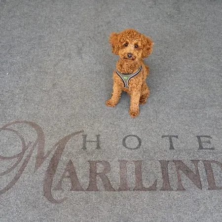 Hotell Marilinda *
