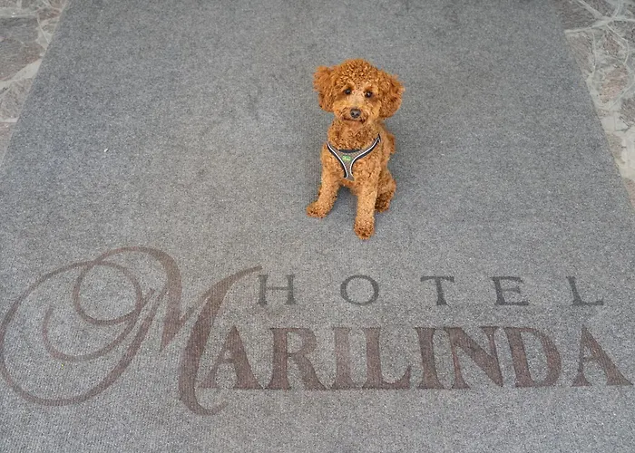 Otel Marilinda *